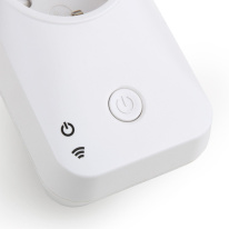 Купить с доставкой по Москве и России Розетка Elektrostandard 76100/00 Белый