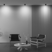 Купить с доставкой по Москве и России Встраиваемый светильник Maytoni Technical DL024-12W3K-B