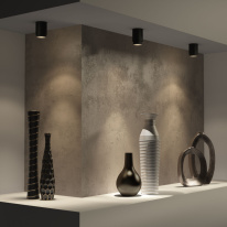 Купить Накладной светильник Elektrostandard Cors 10W (25032/LED) чёрный