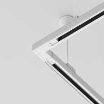 Цена на Коннектор Maytoni Technical TRA005CL-31W-L