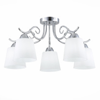 Фото Накладная люстра Evoluce SLE103902-05