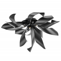 Фото Накладная люстра Lightstar 754167