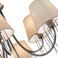 Купить Накладная люстра Evoluce SLE1118-802-06