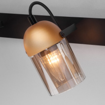 Купить Спот Eurosvet 20122/3 черный/золото