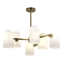 Фото Люстра на штанге Evoluce SLE1047-302-06