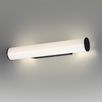 Купить Светильник для картин Odeon Light 6617/8WL