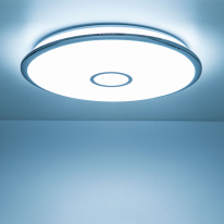 Купить с доставкой по Москве и России Накладной светильник Citilux CL703A100G