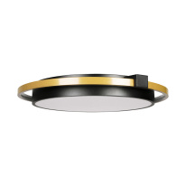 Купить Накладной светильник LOFT IT 10170