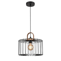 Фото Подвесной светильник Vele Luce VL6312P11