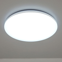 Купить с доставкой по Москве и России Накладной светильник Citilux CL714900G