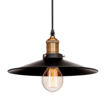 Купить Подвесной светильник LOFT IT LOFT1102