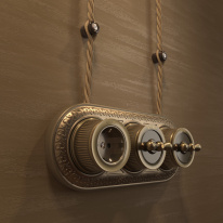 Купить с доставкой по Москве и России Розетка Werkel WL19-10-02 (Бронзовый)