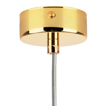 Купить с доставкой по Москве и России Подвесной светильник Lightstar 817012