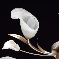 Цена на Накладная люстра MW-Light 242016205