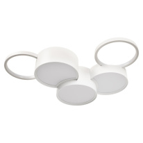 Фото Накладной светильник LOFT IT 10317/5 White