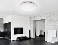 Накладной светильник Ambrella Light FF42 в интернет магазине Гет Лайт