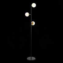 Купить Торшер Evoluce SLE220405-03