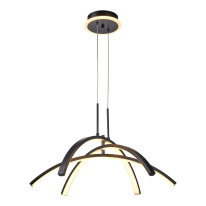 Фото Подвесной светильник Lussole LSP-7195