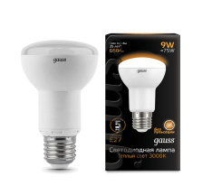 Фото Светодиодная лампа Gauss 106002109