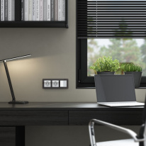 Купить Розетка Werkel W1171041