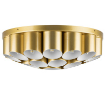 Фото Накладная люстра Lightstar 720222