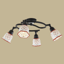 Купить Накладная люстра Citilux CL534543