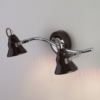 Цена на Спот Eurosvet 20062/2 хром/венге