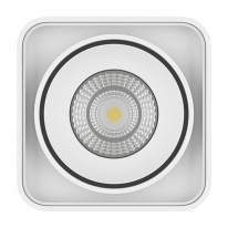 Влагозащищенный светильник Lightstar 052336 Купить Влагозащищенный светильник Lightstar 052336