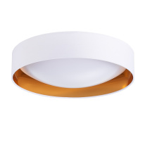 Купить Накладной светильник Evoluce SLE201122-01