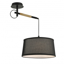 Подвесной светильник F-Promo 3006-1P Фото Подвесной светильник F-Promo 3006-1P