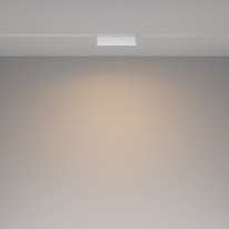 Цена на Светильник на шине Maytoni Technical TR036-2-12W3K-W