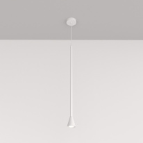 Купить Подвесной светильник Maytoni Technical P064PL-01W