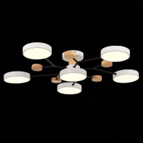 Купить с доставкой по Москве и России Люстра на штанге Evoluce SLE6006-502-06