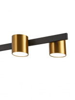 Цена на Подвесная люстра Natali Kovaltseva LED LAMPS 81129/6C BRASS BLACK
