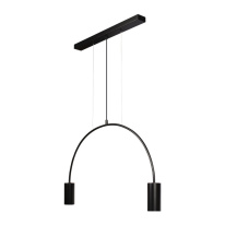 Купить Подвесной светильник LOFT IT 5044-2