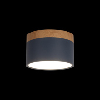 Цена на Детский точечный светильник LOFT IT 10162 Blue