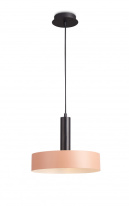 Фото Подвесной светильник Simple Story 1192-1PL