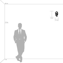 Бра Lightstar 791612 в интернет магазине Гет Лайт