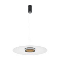 Фото Подвесной светильник Maytoni MOD041PL-L15W3K1