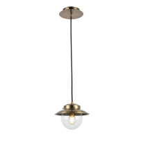 Фото Подвесной светильник Evoluce SLE110103-01