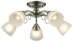 Фото Накладная люстра VELANTE 708-507-05