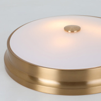 Цена на Накладной светильник Favourite 2375-3C