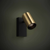 Купить Спот EGLO 390082