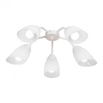 Фото Люстра на штанге Vitaluce V3195/5PL