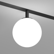 Фото Светильник на шине Denkirs DK8050-BK