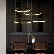 Цена на Подвесной светильник ImperiumLoft 195502-26