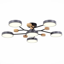 Фото Люстра на штанге Evoluce SLE6006-702-06