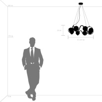 Купить с доставкой по Москве и России Подвесная люстра Lightstar 803167