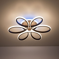 Купить с доставкой по Москве и России Накладной светильник Citilux CL233A170E