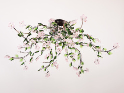 Abrasax MD81156/12 (CH) в интернет магазине Гет Лайт